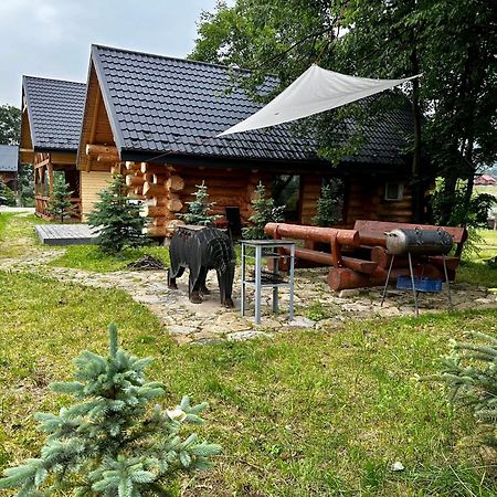 Chalet Pidstromom Vila Mykulychyn Exterior foto